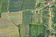 Prodej pozemku , zemdlsk pda, Hostjov (okres Uhersk Hradit)