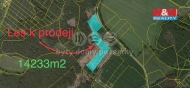 Prodej pozemku , les, Horn Radou, Star Bozdchov (okres Jindichv Hradec)