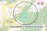 Prodej pozemku , les, Morave (okres Pelhimov)