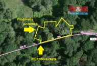 Prodej pozemku , trval travn porost, Chodov Plan, Michalovy Hory (okres Tachov)