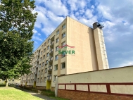 Prodej bytu 1+1, 36 m2, DV, Krupka, Marov (okres Teplice), ul. Karla apka
