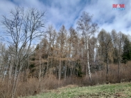 Prodej pozemku , les, Zlezly, Setchovice (okres Prachatice)