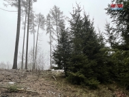Prodej pozemku , les, Ratibosk Hory, Vesce (okres Tbor)