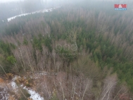 Prodej pozemku , les, esk Tebov (okres st nad Orlic)