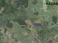 Prodej pozemku 16 447 m2, zemdlsk pda, Horaovice, Horaovick Lhota (okres Klatovy)