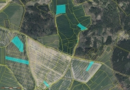 Prodej pozemku 61 601 m2, zemdlsk pda, Louov (okres Plze-jih)