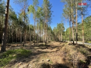 Prodej pozemku , les, Borov nad Vltavou (okres esk Budjovice)