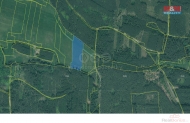 Prodej pozemku , trval travn porost, Bor, Borovany (okres Tachov)