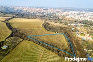 Prodej pozemku , zemdlsk pda, Nov aldorf-Sedleovice, Sedleovice (okres Znojmo)