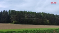 Prodej pozemku , les, Litochovice (okres Strakonice)