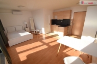 Pronájem bytu 1+kk, 27 m2, OV, Praha 5, Smíchov, ul. Nad Palatou
