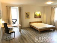 Pronájem bytu 1+kk, 47 m2, OV, Plzeň, Černice (okres Plzeň-město), ul. K Lutové