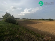 Prodej pozemku , zemědělská půda, Pavlov (okres Břeclav)