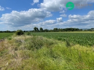 Prodej pozemku , zemědělská půda, Prostějov