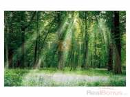 Prodej pozemku , les, Pečice (okres Příbram)