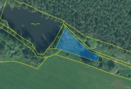 Prodej pozemku , les, Hošťka, Nové Domky (okres Tachov) - exkluzivně