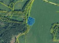 Prodej pozemku , trvalý travní porost, Hošťka, Dlouhý Újezd (okres Tachov) - exkluzivně