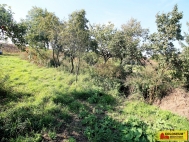 Prodej pozemku , zahrada, Valtice (okres Břeclav)