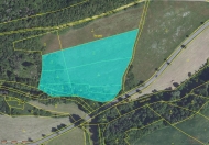 Prodej pozemku 11 886 m2, trvalý travní porost, Broumy (okres Beroun)