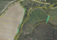 Prodej pozemku 5 920 m2, zemědělská půda, Čejetice, Mladějovice (okres Strakonice)