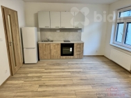 Pronájem bytu 1+1, 0 m2, OV, Pardubice, Bílé Předměstí, ul. Štrossova