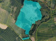 Prodej pozemku , les, Mlýny, Vlčeves (okres Tábor) - exkluzivně
