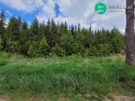 Prodej pozemku , les, Počátky, Heřmaneč (okres Pelhřimov)