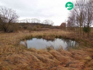 Prodej pozemku 6 745 m2, zahrada, Cebiv, Bezemín (okres Tachov)