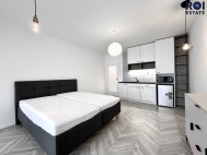 Pronájem bytu 1+kk, 38 m2, OV, Brno, Zábrdovice (okres Brno-město), ul. Cejl