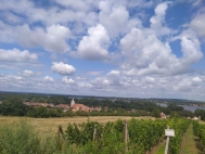 Prodej pozemku , určený k výstavbě RD, Dolní Věstonice (okres Břeclav)