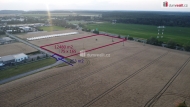 Prodej pozemku , zemědělská půda, Nové Strašecí (okres Rakovník)