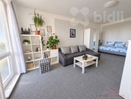 Prodej bytu 1+1, 49 m2, DV, Šternberk (okres Olomouc), ul. U Střelnice