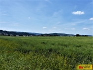 Prodej pozemku , zemědělská půda, Letovice (okres Blansko)