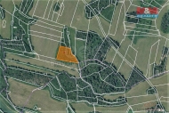 Prodej pozemku , trvalý travní porost, Chanovice, Defurovy Lažany (okres Klatovy)