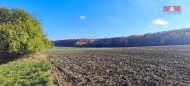 Prodej pozemku , zemědělská půda, Kratonohy (okres Hradec Králové)