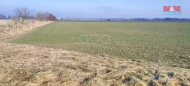 Prodej pozemku , zemědělská půda, Dolní Benešov (okres Opava)