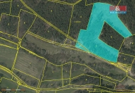 Prodej pozemku , les, Přechovice (okres Strakonice)