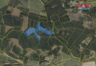 Prodej pozemku , les, Přechovice (okres Strakonice)
