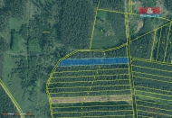 Prodej pozemku , les, Bechyn, Hvoany (okres Tbor)