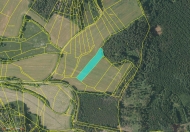 Prodej pozemku 19 593 m2, zemdlsk pda, Chlumy (okres Plze-jih)