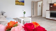 Pronjem bytu 1+kk, 0 m2, OV, Pbor (okres Nov Jin), ul. Msteck