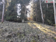 Prodej pozemku , uren k vstavb RD, Bezov (okres Karlovy Vary)
