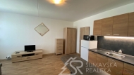 Pronjem bytu 1+kk, 0 m2, OV, Suice, Suice II (okres Klatovy), ul. Katanov
