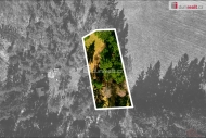 Prodej pozemku , zahrada, Plan, Tnec (okres Tachov)