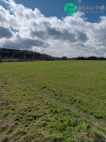 Prodej pozemku 34 822 m2, zemdlsk pda, Dte (okres esk Budjovice)