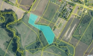 Prodej pozemku , zemdlsk pda, Vraclav (okres st nad Orlic)