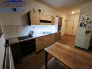 Pronjem bytu 2+1, 0 m2, OV, Stte, Kaplice-ndra (okres esk Krumlov) - exkluzivn