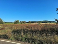 Prodej pozemku , zemdlsk pda, Mnichovo Hradit, Sychrov (okres Mlad Boleslav)