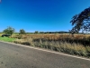 20240908_091431.jpg