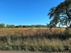 20240908_091440.jpg